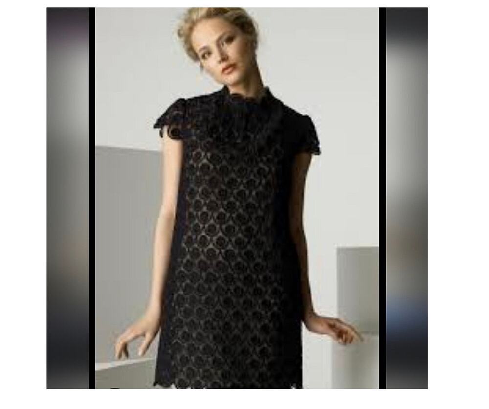 Milly Black Sheer Lace Embroidered Mini Dress Size 2 AS IS
